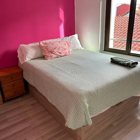 Vivienda Rosa Barrio Humedo